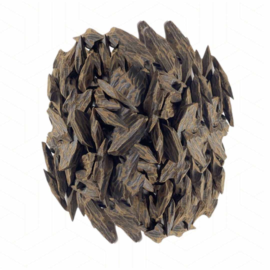 كولكشن اسمة