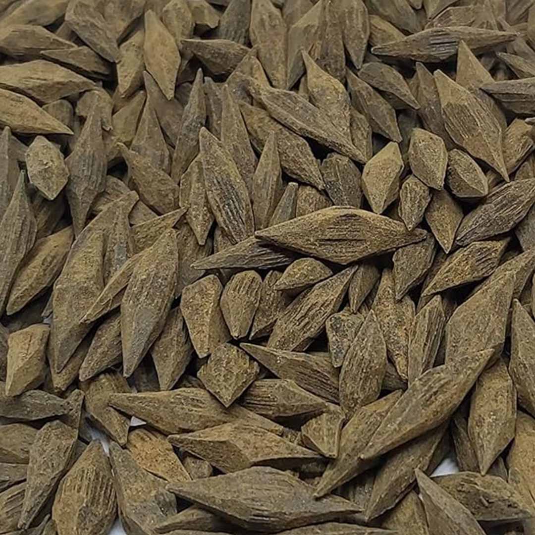 كولكشن اسمة